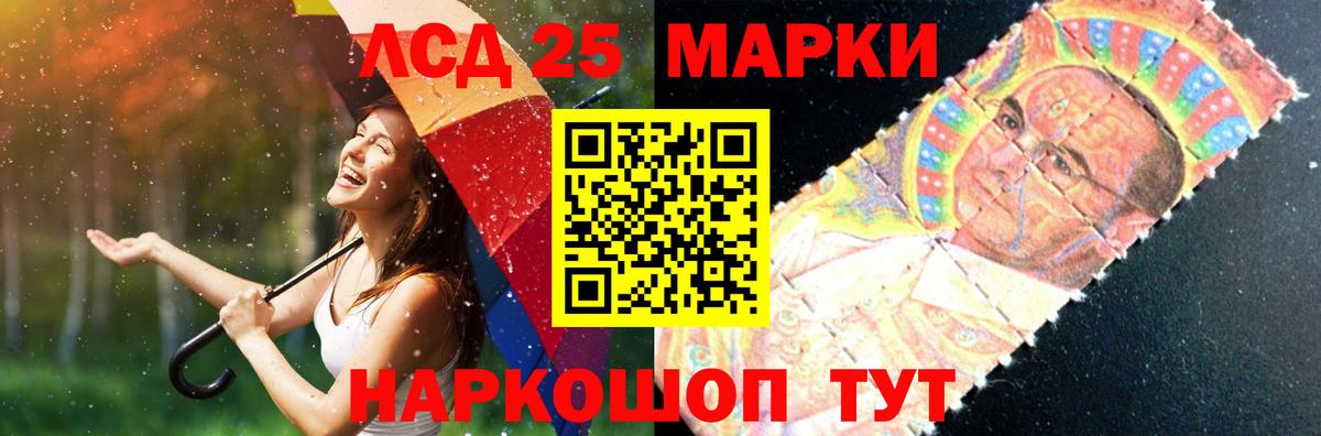 Бердск  LSD-25 экстази кислота  Вход с VPN  ЛСД экстази ecstasy 
