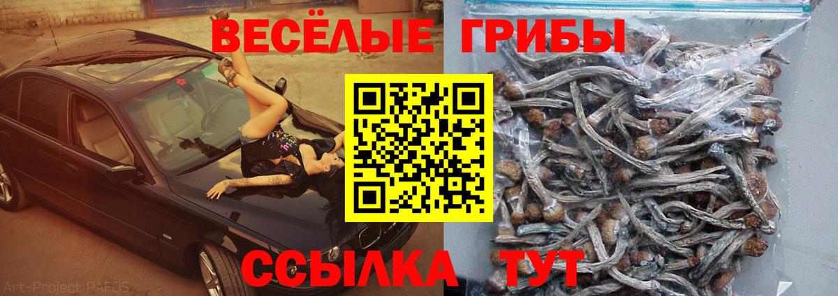 Галлюциногенные грибы Magic Shrooms Бердск